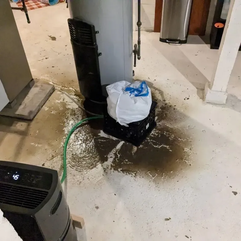 Sewage Backup Cleanup Service in Seward, NE